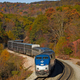 An Amtrak train passes through a forrest in Fall